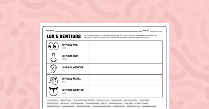 Los 5 Sentidos: Actividad de Exploración Sensorial para Niños